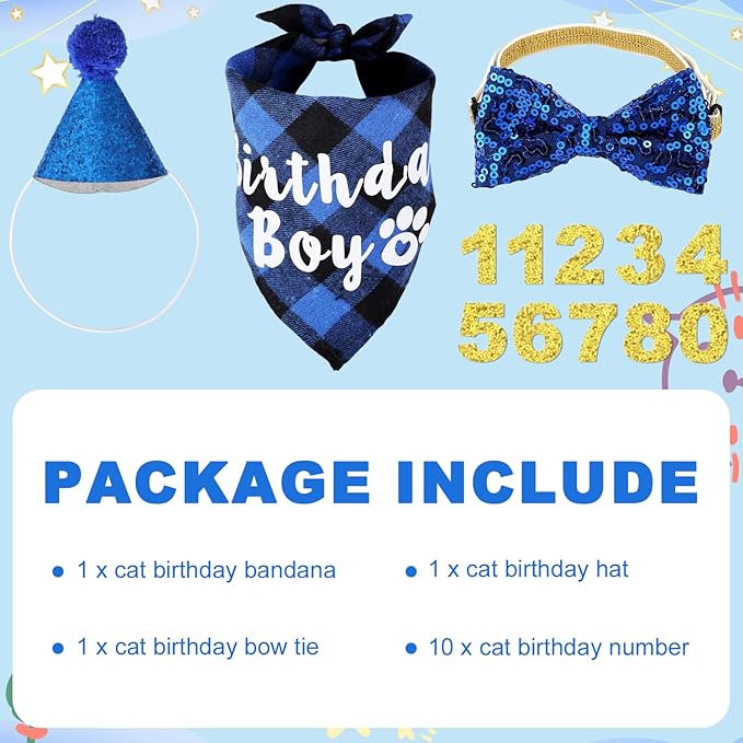 Cat Birthday Party Supplies with Hat, Scarf, Tie & Bandana - Cat Themed Decor (Blue)