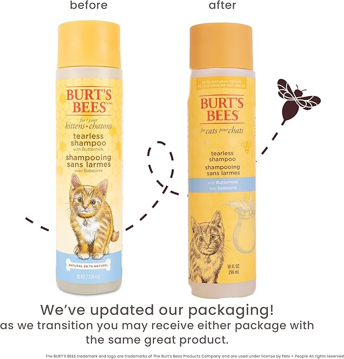 Burt's Bees for Pets Tearless Kitten Shampoo with Buttermilk and Honey, 99% Natural Origin Gentle Cat Shampoo for Sensitive and Itchy Skin, pH Balanced and Fragrance-Free, 10 Fl Oz - 6 Pack