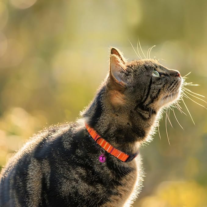 2 Pack Cat Collars with Bell - Breakaway Soft Collar for Girl & Boy Cats, Adjustable Safety Cute Kitten Collars – Comfortable Stylish Patterned Print Design Lightweight (Aztec + Serape)