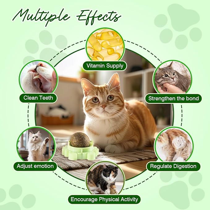 4 Pack Catnip Wall Balls 360° Rotatable Edible Cat Nip Toys Licking for Cats Wall-Mounted Teeth Cleaning Anxiety Relief Natural Indoor Mint Safe and Healthy Chew Kittens Peppermint Ball Climb Treats