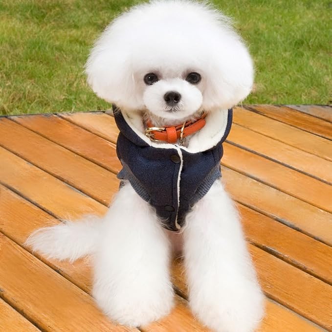 Fleece Dog Hoodie Winter Coat for Small Boy Dog Cat Puppy Cotton Hooded Jacket Chihuahua Clothes Blue S