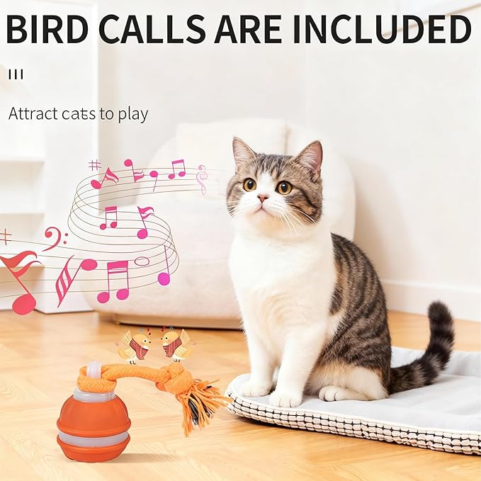 2-Pack Interactive Dog & Cat Toys for Small Dogs Indoor Cats - Auto Moving Balls with Chirping Squeaky Sounds, Rechargeable Motion Activated Boredom Buster, Easter Basket Essentials