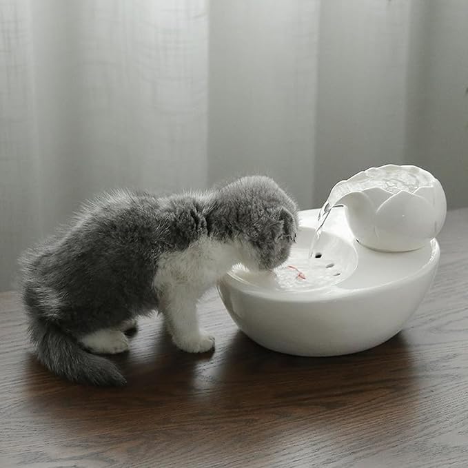 TsoLay Ceramic Pet Water Fountain, Automatic Pet Water Dispenser with Replacement Filters, 1.0L Water Capacity and Ultra-Quiet Working, Over-Power Protection, for Cat and Small Dogs