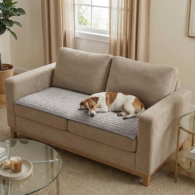 PAULATO BY GA.I.CO. Waterproof Couch Cover – 24x47 Blanket for Sofa Car Seat or Crate – Machine Washable Absorbent Reusable Pad for Puppy Training – Dogs Cats Pets Friendly Protector - Light Grey