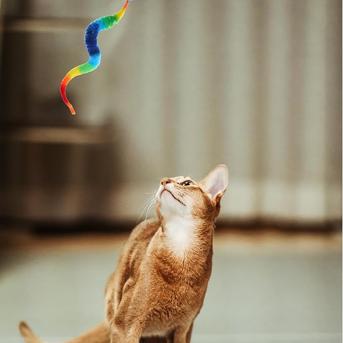 QfwdfcTrenz 5 Pcs Fuzzy Balls for Cats Bouncy Ball Colorful Fuzzy Bouncy Cat Balls Toy FuzzyWorms Pom Pom Cat Toys (Ball Colors are Random)