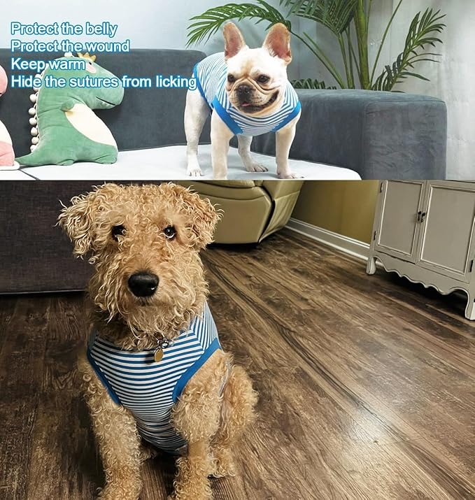 Dog Blue Recovery Suit for X-Small Female Spay,Male Dog Surgery Suit,Narrow Blue-White XS