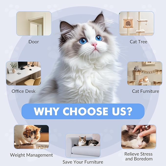 Wortade Interactive Cat Toys for Indoor Cats, Automatic Electric Flying Bird Feather Wand Toy, Rechargeable Electric Exercise Feather Toy for Bored Kittens and Adult Cats, Light Blue