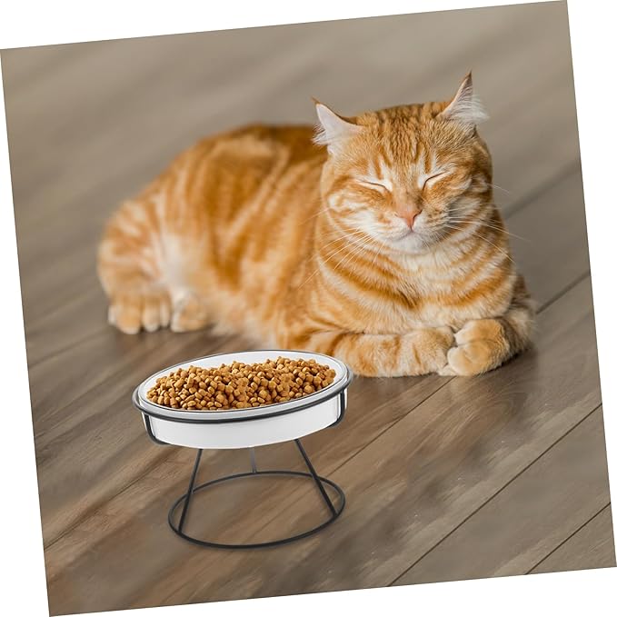 Abaodam Raised Cat Bowl Food Feeding Station Slow Eating Ceramic Cat Dish with Elevated Stand Pet Feeder for Small and Kittens