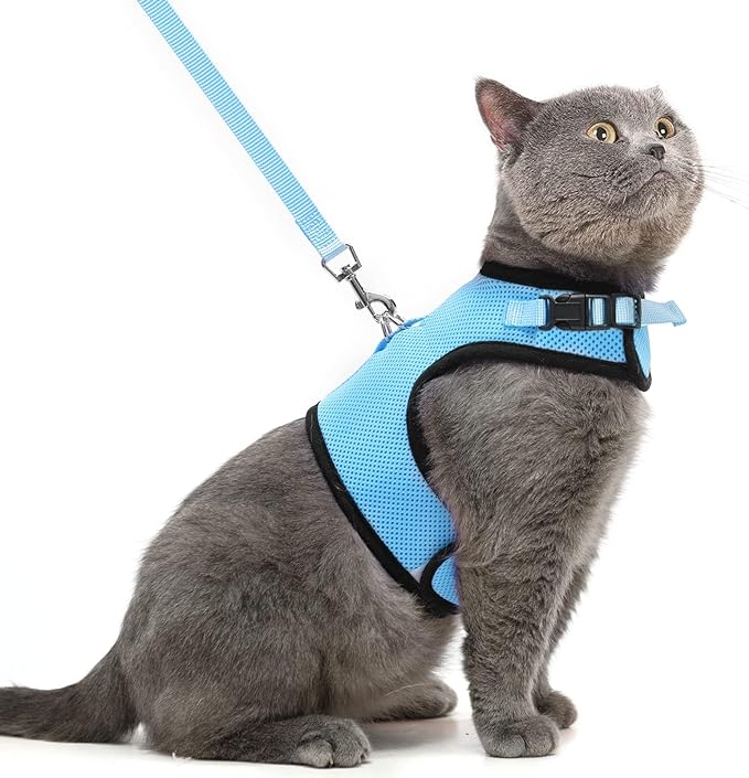 PUPTECK Soft Mesh Cat Vest Harness and Leash Set Puppy Padded Pet Harnesses Escape Proof for Cats Small Dogs, Blue Large