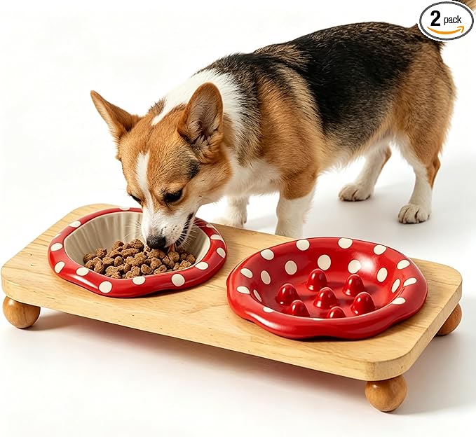 Ceramic Slow Feeders Cat Bowl Set with Wooden Stand, Elevated Pet Slow Dishes Protects Pet's Gut and Neck, Suitable for Kittens and Pubby to Eat Dry and Wet Food