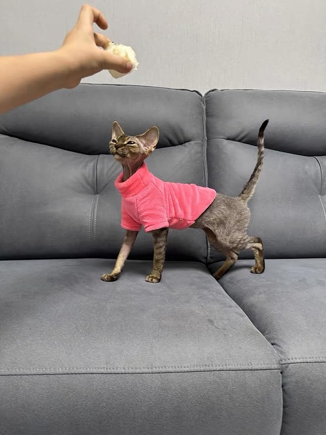 Sphynx Cat Clothes Winter Turtleneck Soft Coral Fleece Cat Clothes Thicken Warm Pajamas Coat for Hairless Cats and Small Cat Apparel with Sleeves (Rainbow Powder, M（3.8-6lbs）)