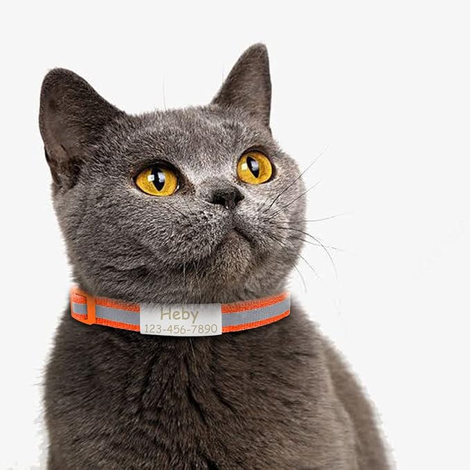 CAMAL Cat Collar with Name Tag, Reflective Cat Collar Breakaway for Kitten Puppy, Personalized Cat Collar, Adjustable 7.5"-12.5" (Fluorescent Green)