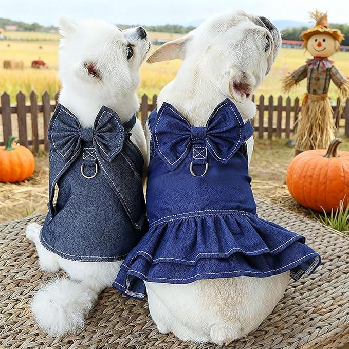 Denim Pet Dress & Vest Harness for Dog Cat, Male Female Universal with D-Ring, Bow Decor Ruffled Skirt Breathable Clothes for Small to Large Pets (Medium, Jacket-Cyan Denim)