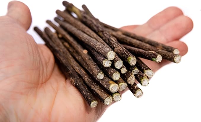 Meowy Janes 20 Ct Mini Matatabi Cat Chew Sticks - an All Natural Silvervine Cat Toy and Treat - Catnip Alternative