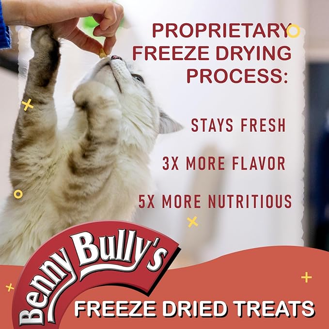 Benny Bullys ® Chicken Breast Chops Freeze Dried Cat Treats - 20g/ 0.7oz (4 Pack)