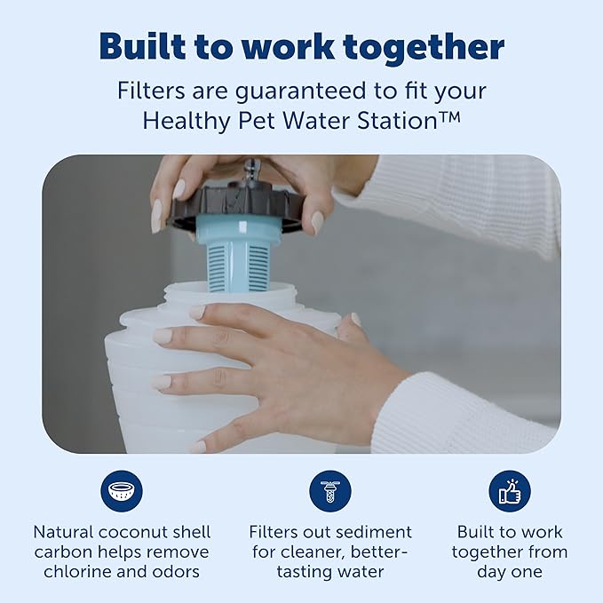 PetSafe Healthy Pet Food & Water Stations - Cat & Dog Food Storage Container - Filter Included with Waterer - Keeps Food & Water Fresh - Suitable for Small, Medium, & Large Dogs - Stainless Steel Bowl