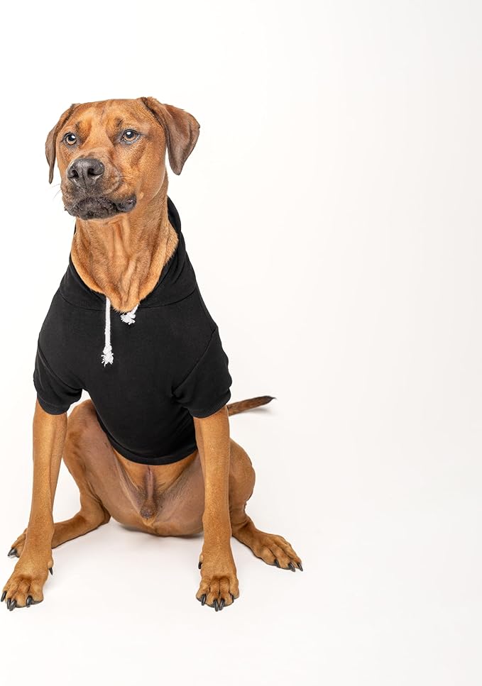 Love My Nana Dog Hoodie | Fleece Lined |Leash Hole|%%|Black, 4X-Large 1344