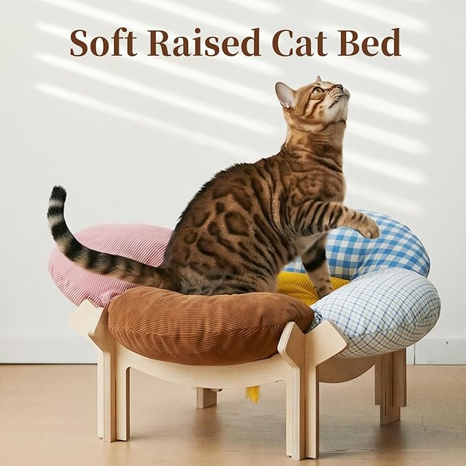 PACHIRA Elevated Cat Bed Wooden, Cat Couch Fluffy, Cat Sofa Flower for Indoor Cats, Raised Cat Bed with Washable Fluffy Cushion and Birch Wood, Cat Chair for Kitty and Puppy, Cat Furniture (Colored)