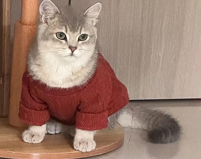 Kitten Clothes, Dog Cat Sweaters Pet Puppy Knitwear Costume Fall Winter Coat for Small Medium Cats Dog Girl Boy Fit 2.2-23lb