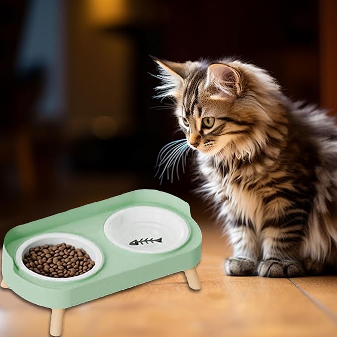 Elevated Double Bowl Ceramic Pet Food Bowls Nonslip Base Feeding Watering Dishes for Dog Cats Scratch Design Scratch Ceramic Pet Bowl