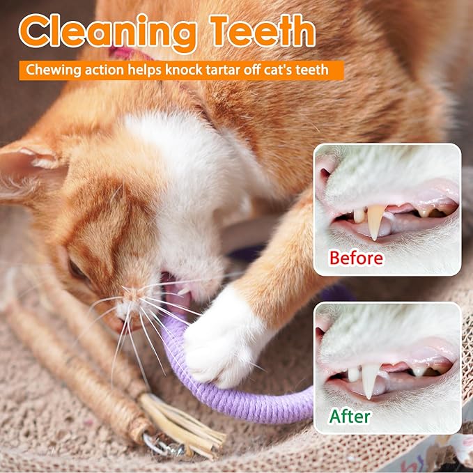 Tocirelo Cat Chew Rope Toy - 6Pack Cotton Cat Chew Toy for Teeth Cleaning, Interactive Kitten Teething Toys to Redirect Chewing from Cord, Cat Nip String Dental Toys for Bored Indoor Cats, 19.7inch