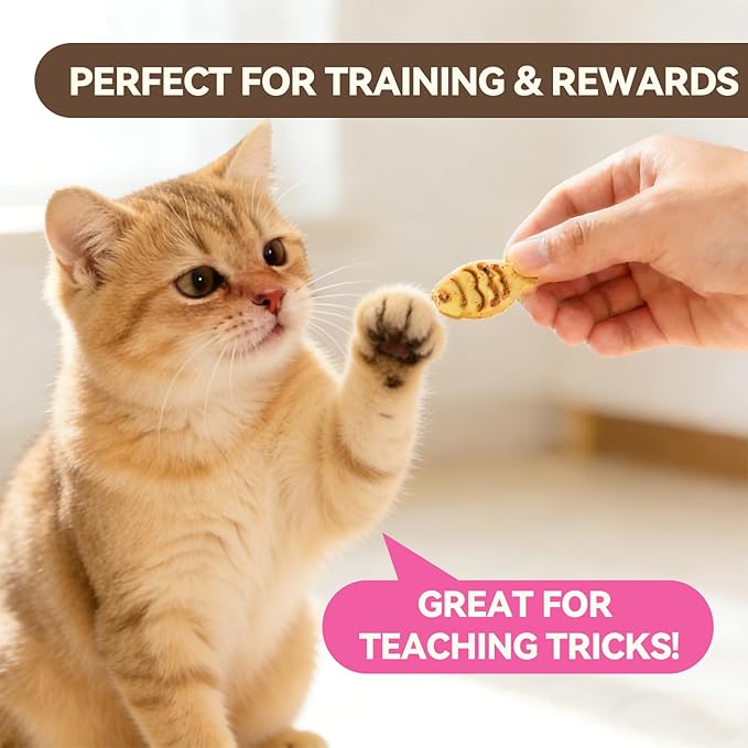 Catnip Cat Treats, Chicken & Salmon Flavor Crunchy Cat Biscuits, Fish-Shaped Training Snacks for Adult Cats, 30 oz