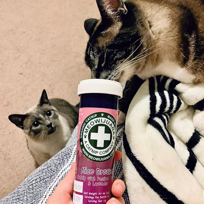 Meowijuana | Catnip Bundles | Organic | High Potency Cat Treats | Perfect for Cat Toys | Grown in The USA | Feline and Cat Lover Approved (Mice Dreams Catnip Bottle Bundle)