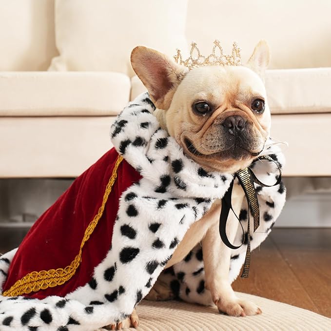 Lovelyshop Pet Serial Majestic Dog/Cat Costume Collection with Lux Velvet Cloak and Gold Pearl Crown Set for Halloween,King Queen Prince and Princess Cosplay-M