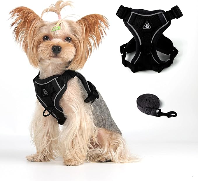 Vest Harness Leash Set for Small Dog Large Cat, Kitten Escape Proof Adjustable Jacket with Lead for Puppy Fat Cat Outdoor Walking, Soft Breathable Mesh Coat with Reflective Strip,XL Black