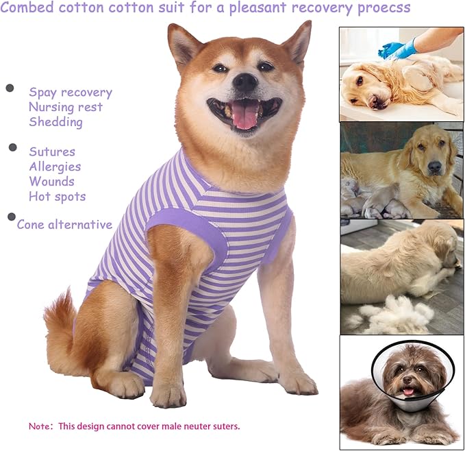 Dog Recovery Suit Female Spay Male Surgery Recovery X-Large Shirt,Soft Combed Cotton Puppy Suit,XL Purple-White Striped