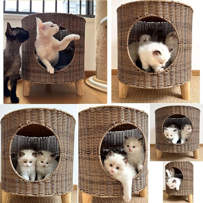 Antique B Elevated Rattan Pet Bed - Breathable Double Layer Cat Villa, Dog Bed House, Outdoor Cat Furniture