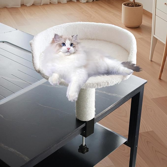 Desktop Cat Bed Round Hammock Elevated Perch for Indoor Cats Soft Stable Easy Assembly Kitten Furniture- White