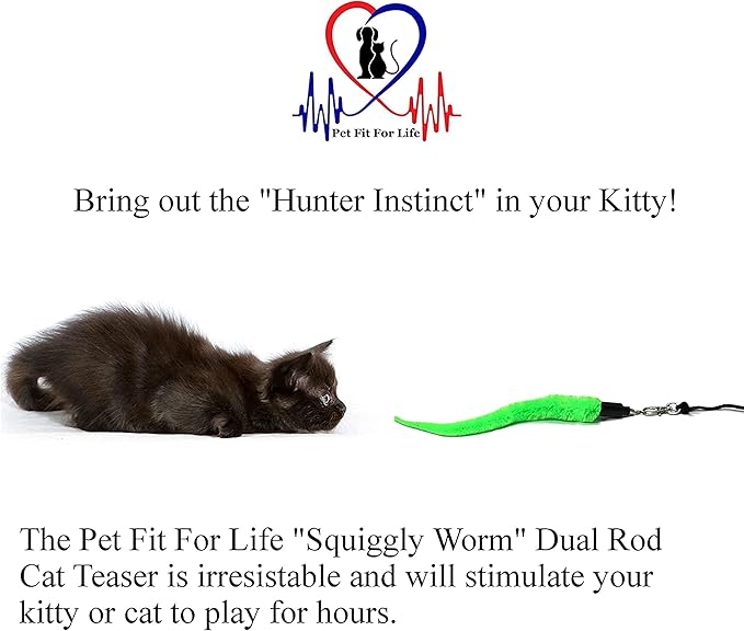 PET FIT for Life 5 PIECE SQUIGGLY Worm Wand CAT Toy