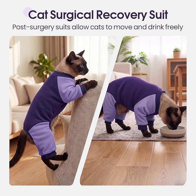 DENTRUN Cat Recovery Suit with Legs - Shedding Control & Anti-Licking Onesie, Stretchy Surgical Recovery Suit Cute Cat Clothes Indoor Soft Material for Comfort and Warmth for Pets
