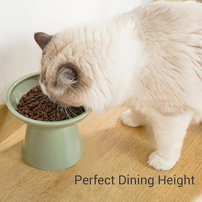 CEEFU Extra Wide Elevated Ceramic Cat Bowl, 6.2" Shallow Dish for Whisker Fatigue Relief, 5" Height for Easy Feeding, Durable Raised Cat Food Bowls, Pack of 2, Sage Green