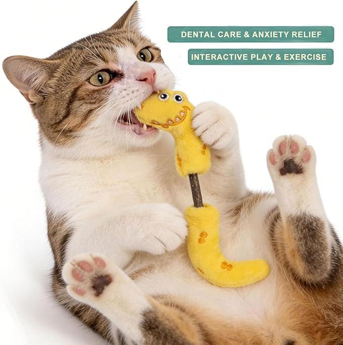 Interactive Cat Toys Set, Silvervine Chew Sticks and Cat Spring Toy, Indoor Catnip Toys for Exercise and Dental Care, for Adult Cats and Kittens (10 Packs)
