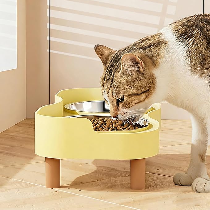 Cat Food Bowl, Elevated Cat Feeding Station Splashing Proof Raised Dish with 2 Stainless Steel Bowls for Pet Small Animals