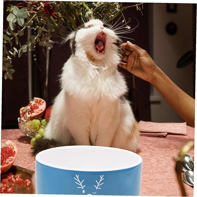 VILLCASE Christmas Ceramic Cat Bowl and Dog Feeding Dish with Snowman and Reindeer Pattern, Blue Porcelain Pet Food Bowl for Floor Feeding and Watering, Holiday Pet Supplies