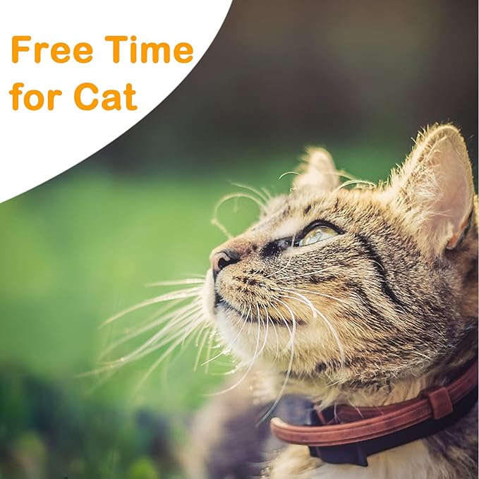 Extra Long Cat Leash for Yard, 15M/50FT Lightweight Outdoor Cat Leash Long Light Extension, Long Thin Lead for Rabbits, Kitten, Puppy and Small Animals