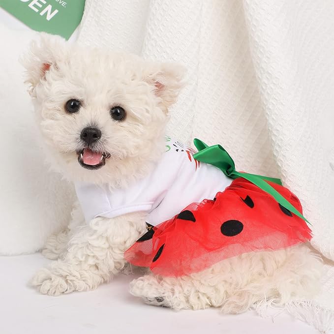 Small Dog Dress for Girl Watermelon Polka Dots Mesh Outfit, Summer Fall Tutu Dresses Cat Apparel, Cute Pet Puppy Clothing Doggie Outfits (X-Small, Watermelon Red)