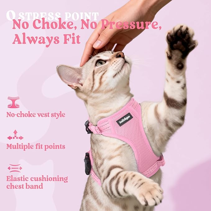 rabbitgoo Cat Harness and Leash, Escape Proof Vest with 3 Adjustable Buckles, Soft Comfortable Kitten Harness, Easy to Wear, Reflective for Safe Outdoor Walking, Small, Pink