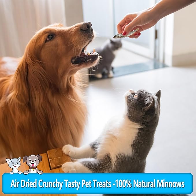 Minnows Dog Treats, Single Ingredient Dried Minnows for Dogs & Cats, Air Dried, Grain-Free, High-Protein, 100% Natural Premium Cat & Dog Treats 8 oz