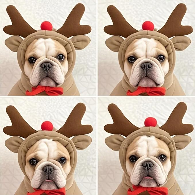 Pet Clothing Dog Transformation Frog Hoodie Autumn and Winter Warm Small Large Dog Method Dou Cat Bullfighting Clothes (elk,XL)
