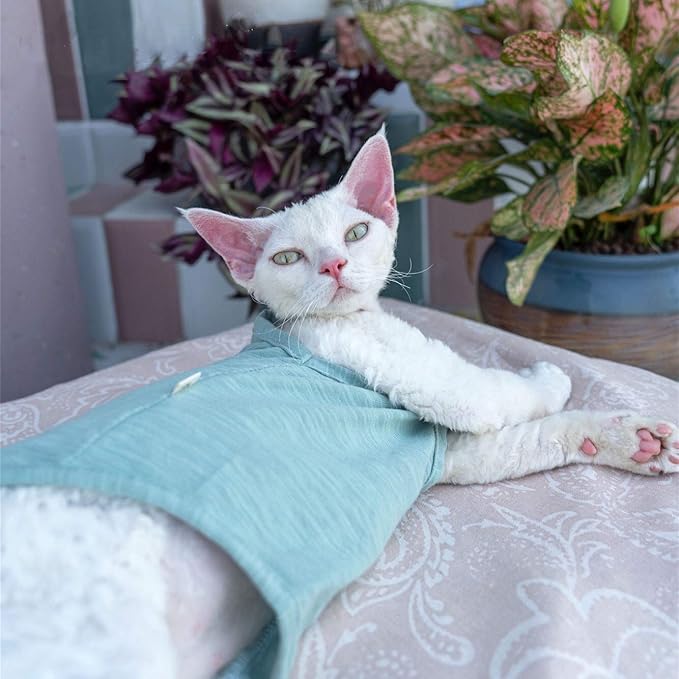 Hairless Cats Solid Cotton Camisole, Breathable Summer Tank Tops for Sphynx, Cornish Rex, Devon Rex, Peterbald, Cat Wear Hairless Cat Clothes Soft Skin-Friendly Cats Apparel Assorted Colors and Sizes