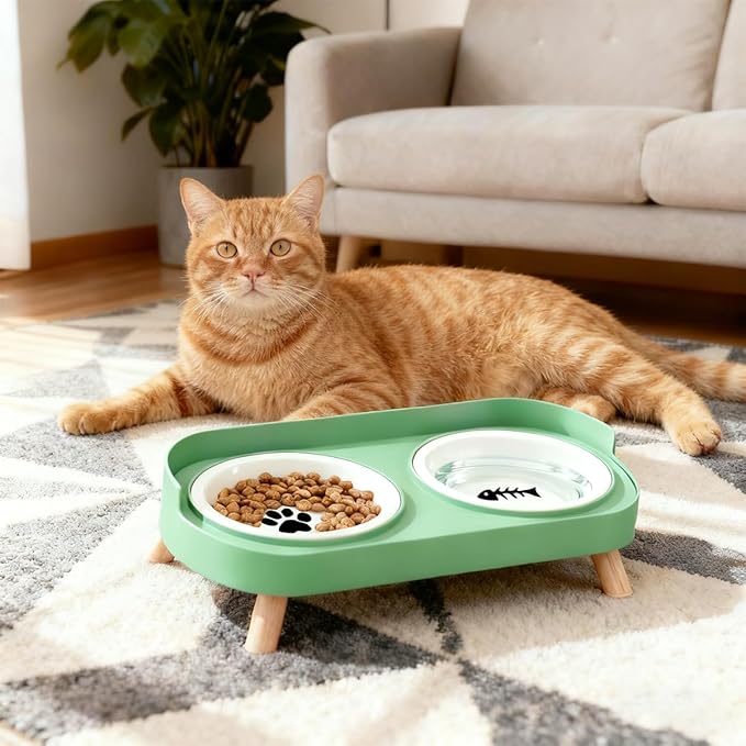 Elevated Cat Bowls, 2 Ceramic Raised Cat Food and Water Bowl Set, Prevent Cat Chin Acne, Whisker Fatigue Friendly, Splash Proof & Dishwasher Safe for Indoor Cats and Small Dogs - Green