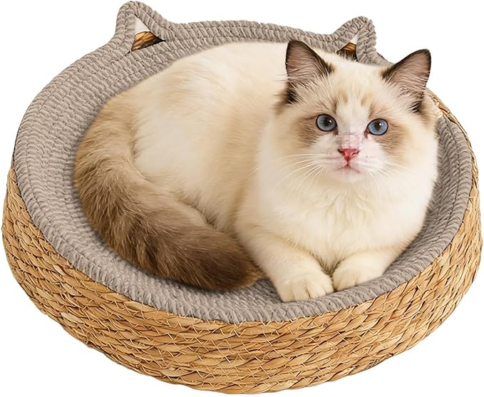 Cat Lounge Disc Bed Circular Sisal Fiber Ventilated Cooling Scratch Board Pad Rest Sleep Toy Tunnel Jump Fitness Paw Care Relaxation Ergonomic Nonslip FurnitureSafe Premium