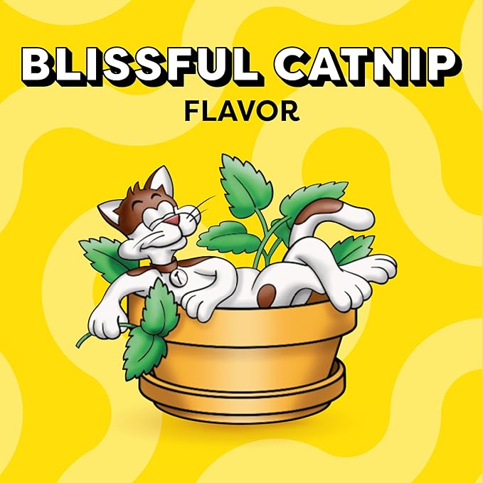 Temptations Cat Treats, Classic Crunchy and Soft Cat Treats, Blissful Catnip Flavor, Catnip Treats, 16 oz. Tub