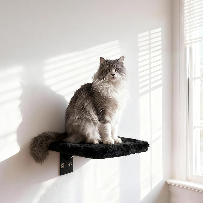 Cat Wall Shelves, 5 in 1 Cat Furniture Set with Soft Curved Pad，Modern Space-Saving Wall Mounted Shelves for Play & Rest