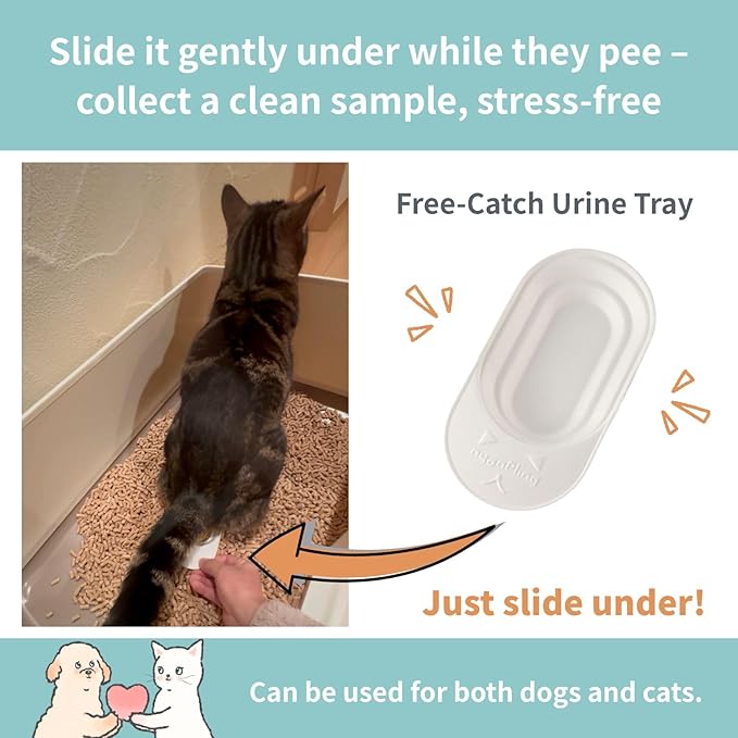 Cat Urine Collection Kit (6-Pack) – Clean Catch Urine Sample Tray for Cats & Small Dogs – Disposable Pet Urine Collector Tray – No Special Litter Needed – Made in Japan