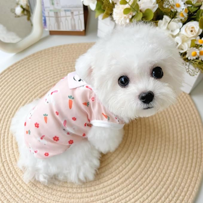 Dog & Cat Cooling Tank Top - Breathable Summer UV Protection Shirt, Anti-Hair Loss & Lightweight for Small Pets, Comfortable Sun Tank top